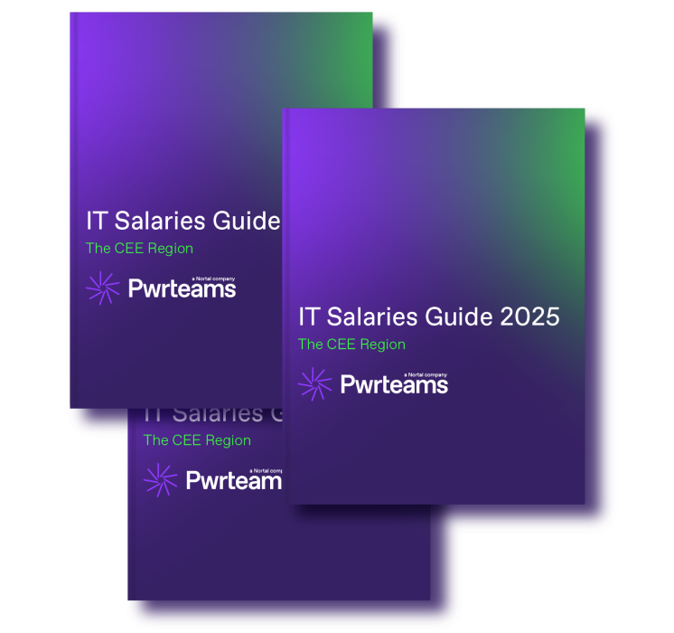 it_sal_guide_book_small