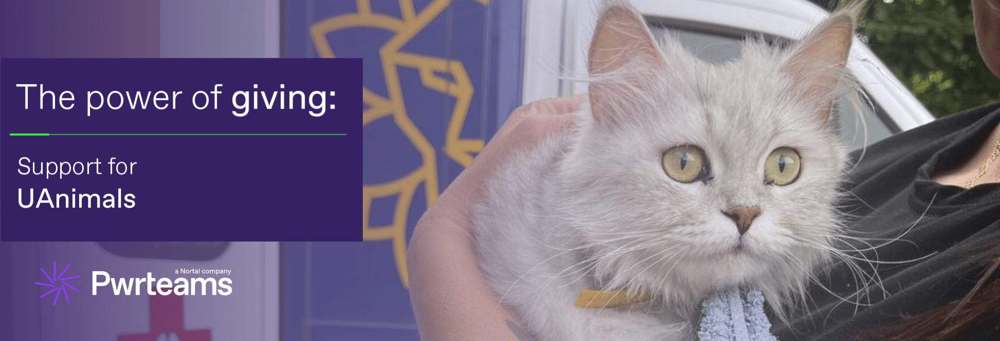 Blog_UAnimals_Header (2)