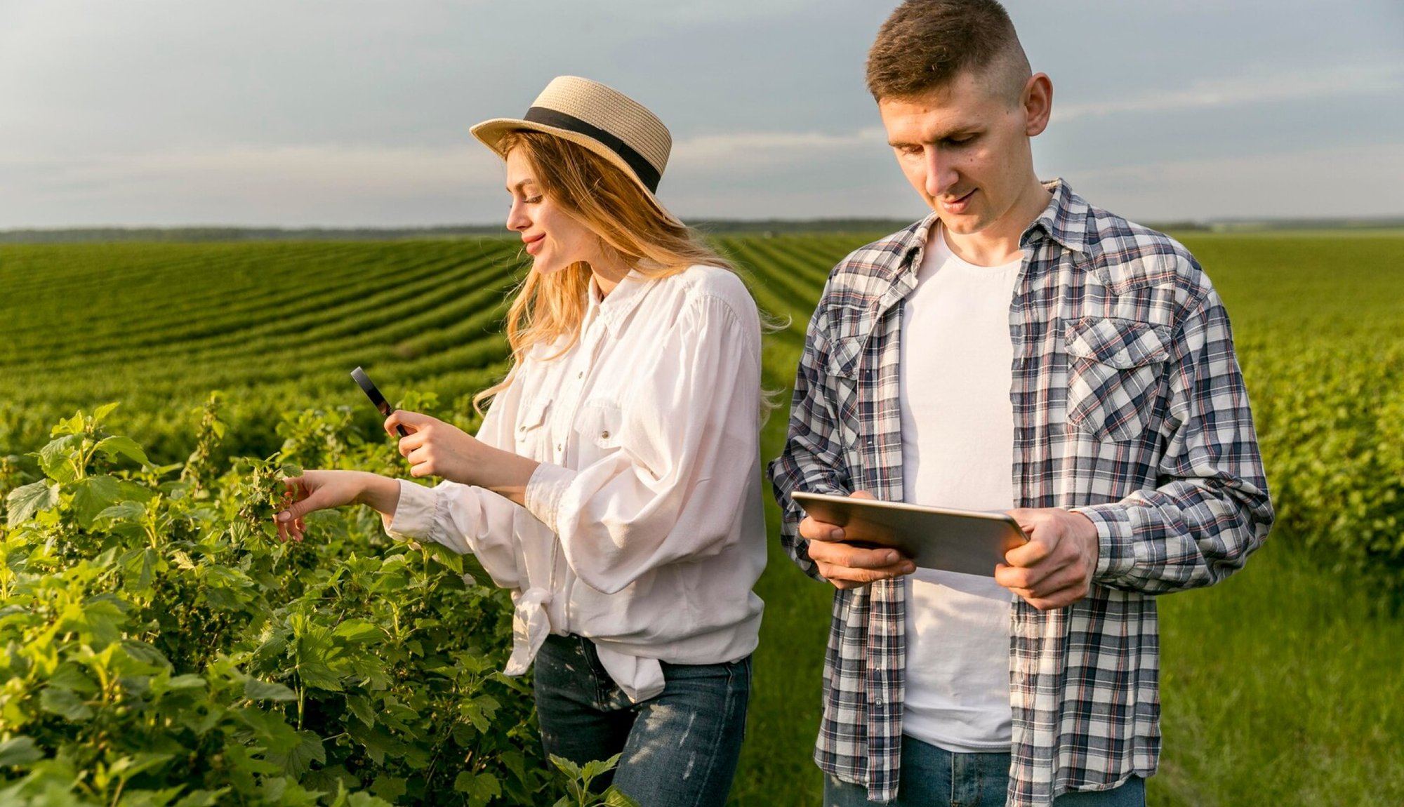 Smart Farming_ How Technology Adds Value to Agriculture-2