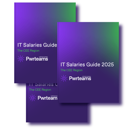 it_sal_guide_book__small_3